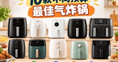 马来西亚气炸锅推荐 2026:10款不同预算最佳气炸锅 气炸锅推荐